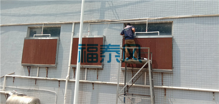蜜柚视频污/水帘纸